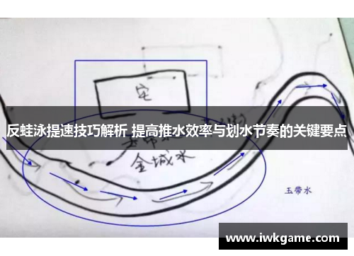 反蛙泳提速技巧解析 提高推水效率与划水节奏的关键要点